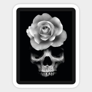 Skull & Rose Sticker